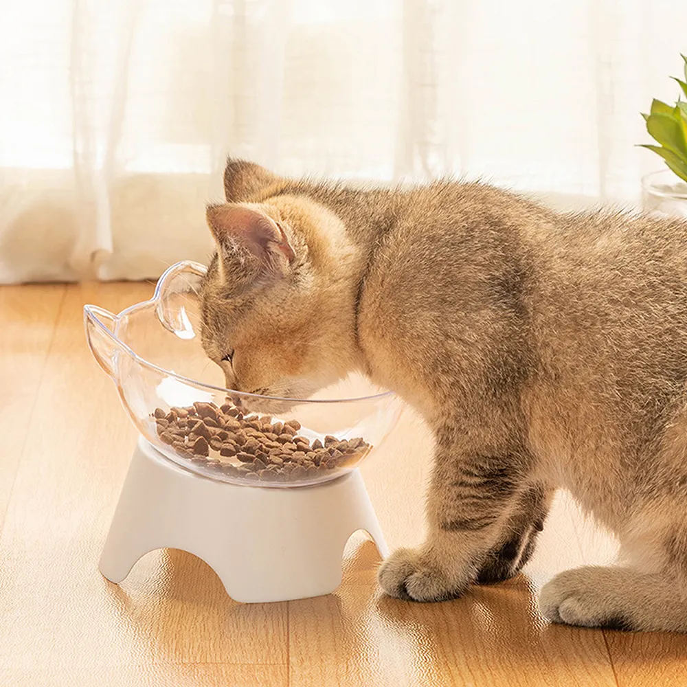 Hochwertige Hunden äpfe Feeder Hals schützende Katzen schale mit Schutz Cervi cal Cat Food Bowl