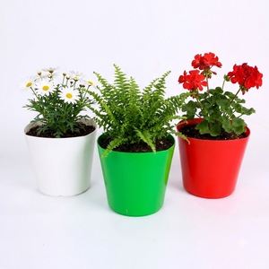 Pot de fleurs rond en plastique en gros 18x18x16cm en PP, design conique, finition brillante, plusieurs couleurs - Product Image 1