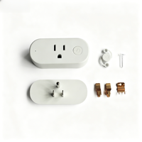 Prise intelligente US FY12, série multi-protocoles WiFi/Zigbee, moniteur de puissance, préprogrammé Tasmota/eWeLink Tuya/Alexa/Google OEM/ODM CE ROHS