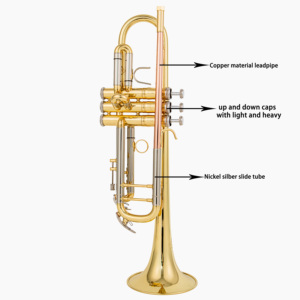 <span class=keywords><strong>Trompette</strong></span> à prix réduit en laiton jaune avec embouchure en cuivre et tube coulissant en nickel argenté, modèle étudiant - Product Image 1