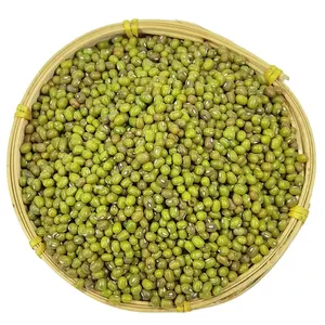 Groene Koffiebonen 50Kg Zakken