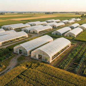 Serres agricoles en film plastique à double couche, grande taille, à simple travée, personnalisées en usine, à faible coût, pour <span class=keywords><strong>tomates</strong></span>, Starfarm - Product Image 6