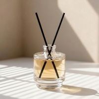 Bouteille diffuseur d'arômes décorative en verre vide, personnalisable avec logo, pour usage en laboratoire, avec bâtonnets en rotin