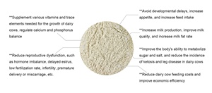 Vitamine minérale prémélange vaches laitières Vitamine Booster Pour La Croissance Dans Le Bétail D'élevage Plus <span class=keywords><strong>De</strong></span> <span class=keywords><strong>Lait</strong></span> Pour Vaches Supplément Additifs - Product Image 3