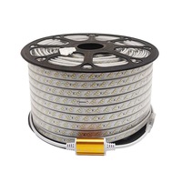 Bande LED Super Lumineuse 220V 2835 120 LED/m Double Rangée Étanche pour Extérieur, Ruban LED Commercial pour Éclairage Linéaire Industriel