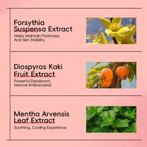 <span class=keywords><strong>Crema</strong></span> <span class=keywords><strong>desodorante</strong></span> Microbiome <span class=keywords><strong>Balance</strong></span> OEM/ODM, sin aluminio, calmante para la piel y frescura duradera con esencias vegetales - Product Image 5