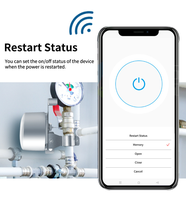 Contrôleur de sécurité intelligent TUYA pour la maison avec coupure automatique du gaz et de l'eau, 240V/10A, alimenté par prise, minuterie et gestion à distance CN