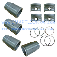 Ensemble piston cylindre LINER + PISTON + PISTON RING 0210390 79635142 Pour Renault 19