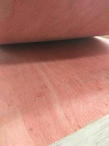 <span class=keywords><strong>Precio</strong></span> al por Mayor <span class=keywords><strong>de</strong></span> Lámina <span class=keywords><strong>de</strong></span> Madera Contrachapada <span class=keywords><strong>de</strong></span> <span class=keywords><strong>Cedro</strong></span> Rojo Comercial <span class=keywords><strong>de</strong></span> 4x8 18mm 1200x2400mm - Product Image 3