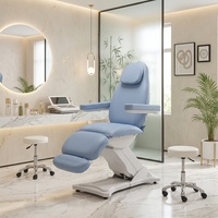 Table de massage électrique professionnelle moderne, réglable, pour salon de beauté et spa, avec structure métallique portable pour soins du visage à domicile