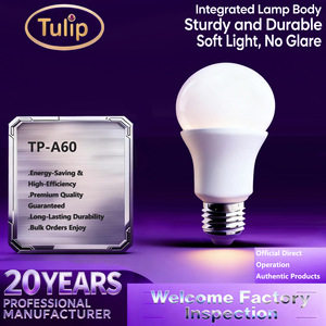 Led Bulb A60 A19 E27 110-130 220-240V 50000Hours Home <b>Lighting</b> Ce Erp Certified - Product Image 5