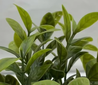 Succulentes artificielles en PE, durables, écologiques, recyclables, haute simulation, vertes toute l'année, décoration de luxe pour la maison