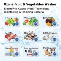 Gloednieuw Fruit Reiniger Ozon Wassing Granen Zeevruchten Vlees Keukengerei Speelgoed Huisdier Benodigdheden Ozon Groente Wasmachine