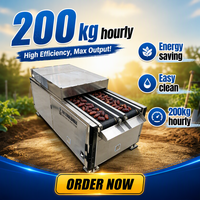 1500W Hoge Efficiëntie Dubbelspoorige Pitmachine voor Fruit en Groenten 220V/380V Motor Voedselverwerking
