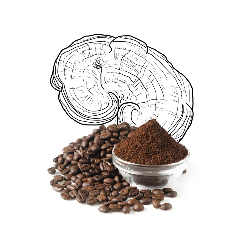 औषधीय मशरूम के अर्क मिश्रण के साथ पीने के लिए ओम उच्च गुणवत्ता वाली कॉफी 100% जैविक अरबिका कॉफी बीन्स