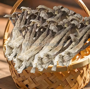 Venta caliente Pilose Antler Mushroom Deer Velvet Antler Todo secado VF Proceso Fried Chicken Mushroom Fungus Barato - Product Image 4