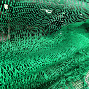 <span class=keywords><strong>Bird</strong></span> lưới tái sử dụng vườn HDPE nhà kính nhựa chim Aviary bằng chứng net màu xanh lá cây màu chống <span class=keywords><strong>Bird</strong></span> lưới cho nông nghiệp - Product Image 6