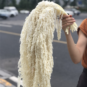 G-004 <span class=keywords><strong>Bouquet</strong></span> <span class=keywords><strong>de</strong></span> <span class=keywords><strong>fleurs</strong></span> séchées bohème crème blanche, herbe <span class=keywords><strong>de</strong></span> la pampa, fleur <span class=keywords><strong>de</strong></span> palmier, <span class=keywords><strong>bouquet</strong></span> <span class=keywords><strong>de</strong></span> <span class=keywords><strong>fleurs</strong></span> sauvages séchées, <span class=keywords><strong>bouquet</strong></span> éternel préservé - Product Image 5