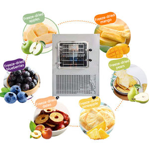 Nuevo equipo de liofilización con sistema de vacío integrado PLC y motor para procesamiento de alimentos y liofilización eficiente - Product Image 2