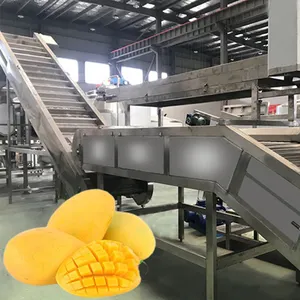 mango Fruit Juice Processing Line Concentrated Processing System Fruit Puree Making Production System