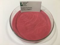Puur Bosbessenextract Poeder 25% 95% Anthocyaan Natuurlijk Plantenextract