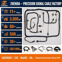 Conector Multipin, Arnés de Cableado Automotriz, Conjunto de Cables Personalizado para Panel de Puerta