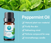 Usine en gros en vrac échantillon gratuit soins des cheveux huile essentielle de menthe poivrée marque privée huile de menthe poivrée naturelle pure pour souris rats
