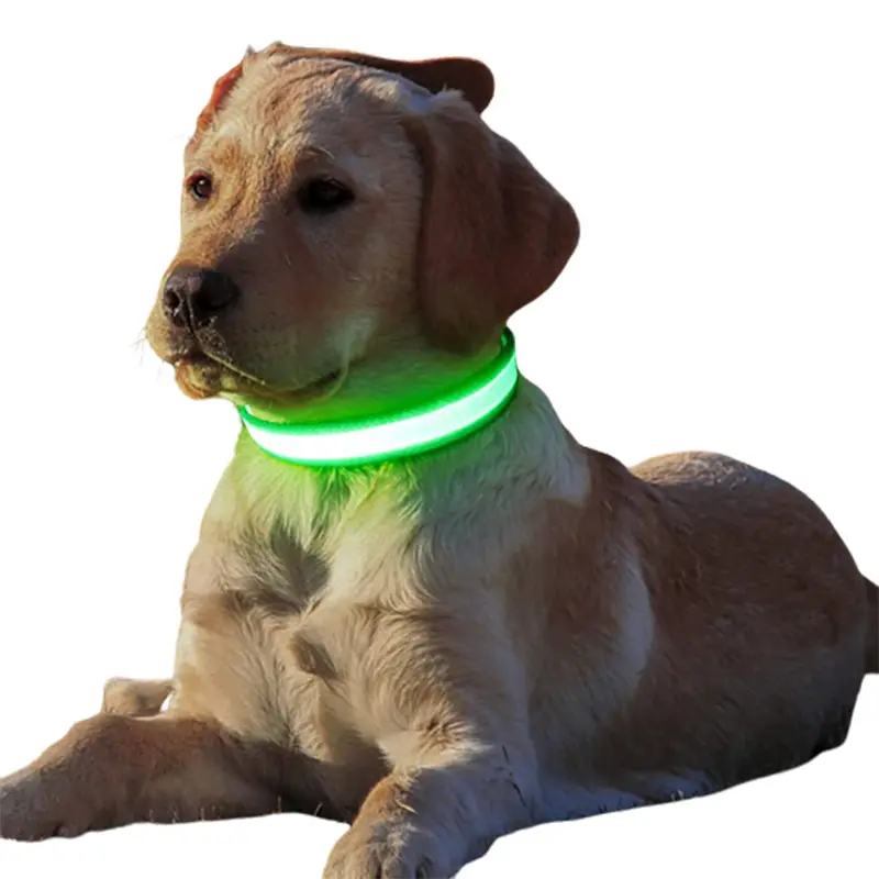 Einstellbare elektronische Haustier-LED-Hundehalsband Flash-Aufladung Haustierhalsband reflektierende LED-Halsbänder für Hunde Nachtsicherheit Hundekinderprodukte