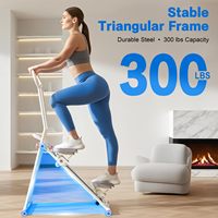 Mini stepper de gym à domicile, cadre en acier, pédale antidérapante, compteur LCD, équipement de fitness pour les jambes et les fessiers, portable, faible MOQ, OEM