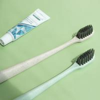 Kit d'articles de toilette jetables pour hôtel avec brosse à dents et dentifrice pour chambre d'hôtes, fournitures hôtelières