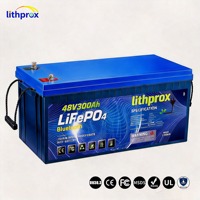 Batterie industrielle pour véhicule électrique 48V 300Ah résistante aux chocs, au phosphate de fer et de lithium (LFP), pour entrepôt, certifiée CE FCC RoHS UN38.3, OEM ODM