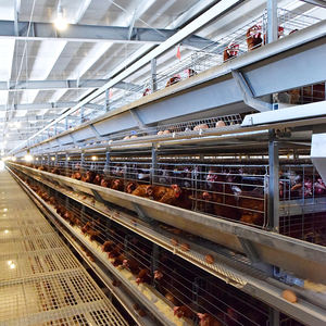 Alimentador automático de aves de corral, alimentador de pollos de plástico para ganado, animales y equipos de cría de aves de corral - Product Image 2