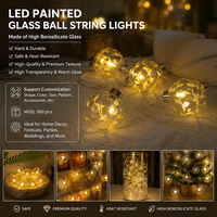 Guirlande lumineuse LED personnalisée en verre borosilicate peinte à la main, décorations de fête et d'intérieur, fournisseur ODM, coffret cadeau, vente en gros