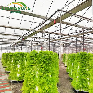 Grande serre en verre pour jardin domestique - Tour de culture hydroponique verticale pour la culture <span class=keywords><strong>des</strong></span> fraises - Product Image 6