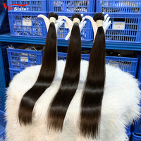 Ekstensi Rambut India Mentah Berkualitas Tinggi Grosir, Sampel Gratis Rambut Lurus Mentah India