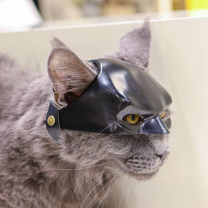 หน้ากากแมวพลาสติกแบบใหม่ลายแบทแคท <span class=keywords><strong>ส</strong></span>ำหรับแต่งตัว<span class=keywords><strong>ส</strong></span>ัตว์เลี้ยงน่ารัก อุปกรณ์สำหรับสัตว์เลี้ยง - Product Image 3