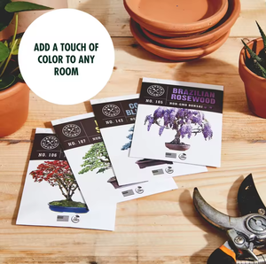 <span class=keywords><strong>Kit</strong></span> de iniciación de irthday, 2023 - Product Image 4