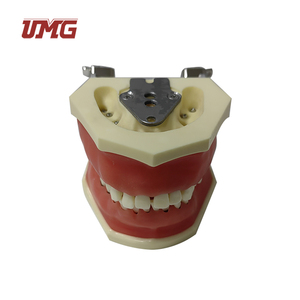 Modello di malattia parodontale per pratica di taglio e sutura - Product Image 5