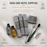 Kit d'articles de toilette jetables en plastique tendance pour hôtels, vente en gros, pour couples en lune de miel, logo personnalisé OEM ODM