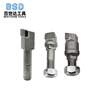 Pointes de brasage industrielles en carbure de tungstène poli BSD à haute résistance à l'usure, différentes tailles, personnalisables OEM pour le débroussaillage forestier