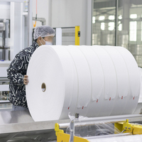 Rouleau de tissu non tissé en coton élastique Spunlace Recyle écologique personnalisé pour la matière première d'essuyage humide