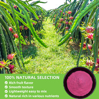 Poudre de fruit du dragon rouge OEM à prix de gros, poudre de jus de fruit du dragon rouge, matcha rose, poudre de fruit du dragon rouge biologique