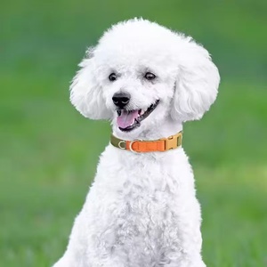 Sujetador a presión <span class=keywords><strong>Collar</strong></span> para mascotas Material de nailon estirable y transpirable Color caramelo y de moda para varios perros - Product Image 4