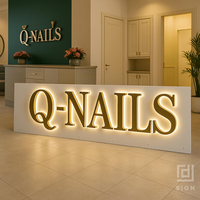 Enseigne en acrylique rétroéclairée personnalisée, lettres de canal, signalisation professionnelle éclairée par LED 3D, enseigne extérieure, panneau LED