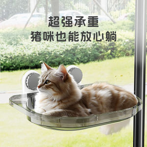 Hamac pour chat avec ventouse pour fenêtre, lit pour chat, toutes saisons, idéal pour les bain de soleil des chats, lit suspendu avec panier en verre, chat - Product Image 4