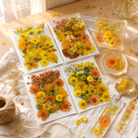 Ensemble de fleurs séchées pressées naturelles, fleurs séchées pressées en vrac pour la création d'art en résine époxy, la fabrication de bijoux, les travaux manuels DIY