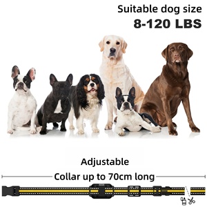 <span class=keywords><strong>Collar</strong></span> de entrenamiento para perros Lynpet de 3300Ft, recargable, impermeable, para perros pequeños, medianos y grandes, remoto, de plástico de 5 a 120 libras - Product Image 6
