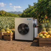 Machine de séchage de fruits tropicaux combinée, déshydrateur de fruits à pompe à chaleur, prix usine