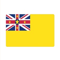 Paillasson antidérapant imprimé drapeau national de Niue 40*60cm, tapis de sol rectangulaire en polyester et caoutchouc pour intérieur et extérieur