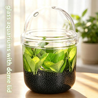 Articles de décoration de Rome : Terrarium en verre transparent pour mousse, vase en verre soufflé à la main pour plantes hydroponiques avec couvercles en dôme et trou